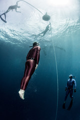 Fototapeta na wymiar Underwater shot of the ascending free diver. Free immersion discipline
