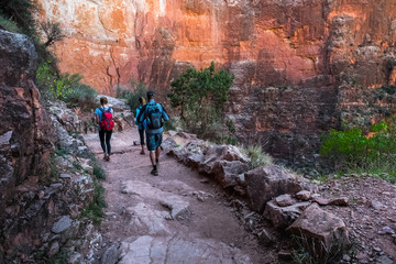 Group of hikers on the walkway at the Grand Canyon National Park, USA