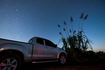 Fototapeta na wymiar Pickup truck is parking near sugarcane tree under the night sky.
