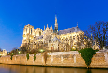 Fototapeta na wymiar Paris. Notre Dame.