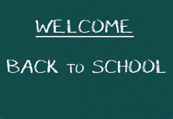 Obraz premium Green school chalkboard with written sentence space