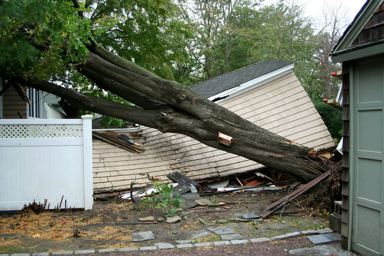 Garage gets crushed by tree during Super Storm Sandy