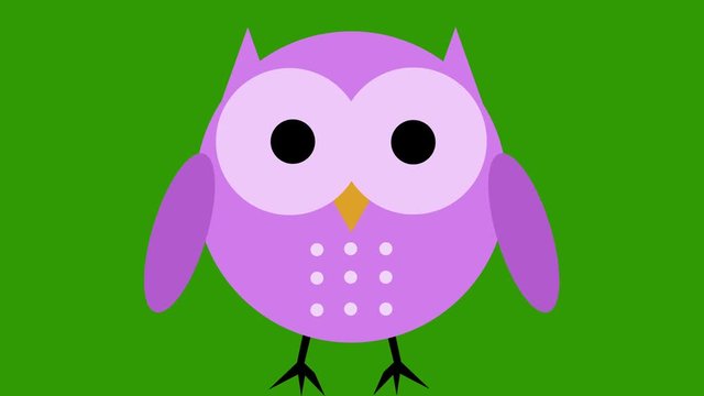 Comic cartoon cute owl animation green screen cut out loop pink