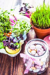 Alfalfa sprouts in Easter eggs shell, from above
