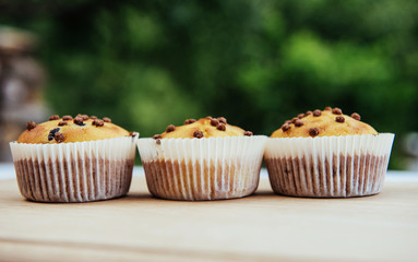 Fresh chocolate chip muffin close up.
