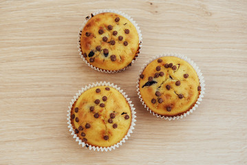 Fresh chocolate chip muffin close up.
