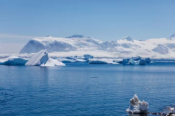 Foto op Aluminium Eisberg in der Antarktis © Bloody Orange