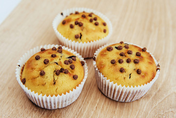 Fresh chocolate chip muffin close up.