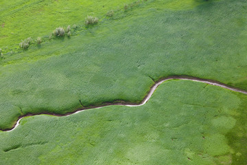 Stream on a meadow, top view