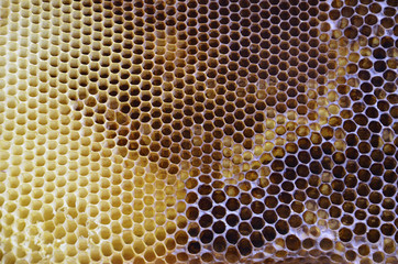 Honeycomb pattern background