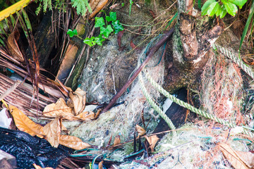 Dump site photo for promotion of recycle project for better environment