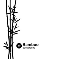 Bamboo background. Vector  - obrazy, fototapety, plakaty