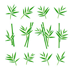 Bamboo collection set. Vector