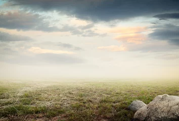 Simple beautiful surreal landscape with grass on misty sky background © cakobelo