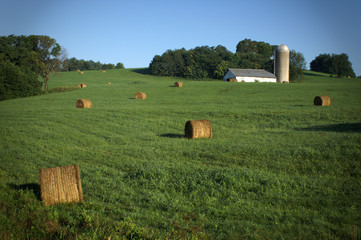 Agricultural Farm with hay bales
