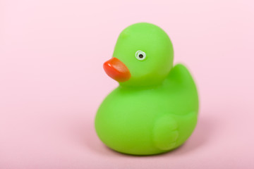 Cute green rubber duck on pink background