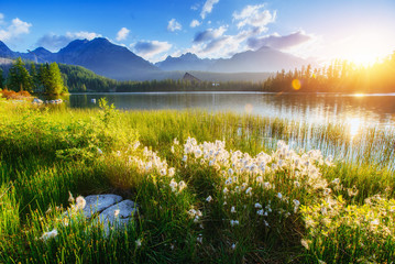 Fototapeta premium Majestic mountain lake in National Park High Tatra. Strbske ples