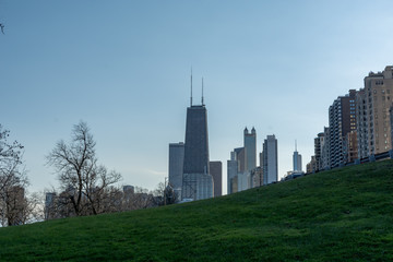 Winter Skyline of Chicago