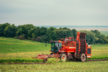 Obraz premium Red tractor on a green field