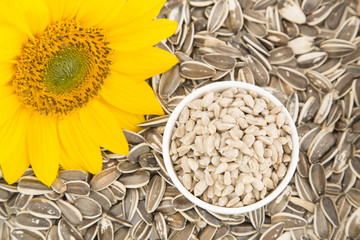 Sunflower seeds and flower (Helianthus annuus)