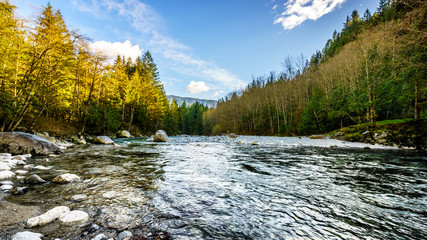 Gold Creek as it flows to Alouette Lake in Golden Ears Provincial Park in British Columbia, Canada