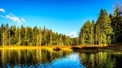 Mike Lake in Golden Ears Provincial Park in British Columbia Canada unde blue skies