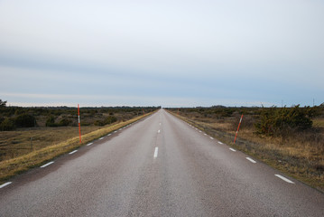 Snow stakes by a straight country road