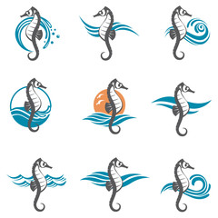 images collection of sea horse and ocean waves