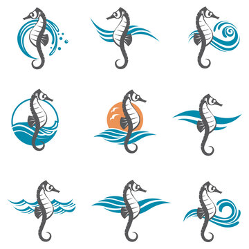 images collection of sea horse and ocean waves
