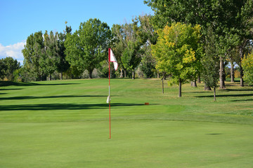 Obraz premium Green and flag on a golf course