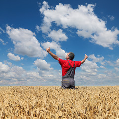 Agricultural scene, happy farmer in wheat field with hands and thumbs up