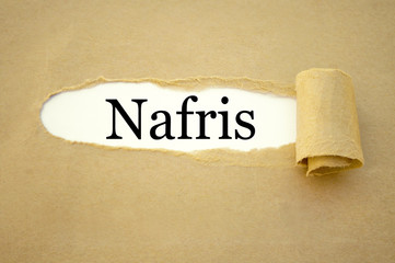 Nafris Nafri Nordafrikanische Intensivtäter
