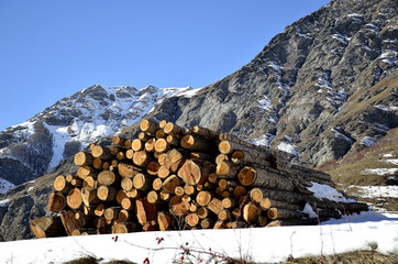 Legnaia di montagna
