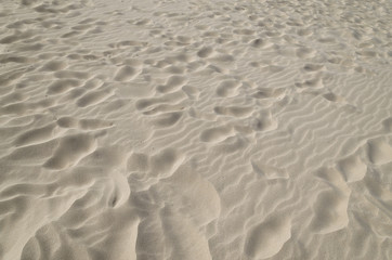 Sunny beach with sand