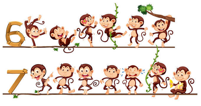 Monkeys and number six and seven