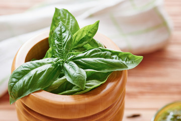 Basil on mortar close up