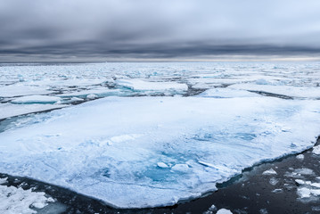 Mar de hielo al norte de Svalbard