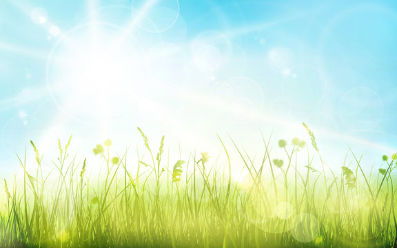 Green Grass, Blue Sky, Spring Blurred Bokeh Background
