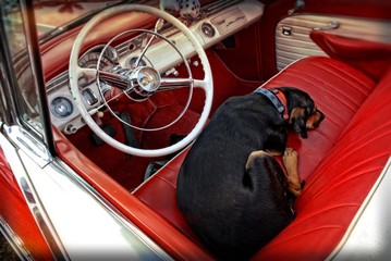 Custom Car