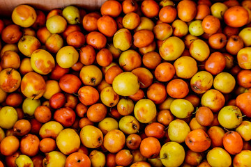 Monkey Apple, Ripe jujubes  in box for sale