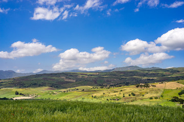 Naklejka premium Wind turbines against the blue sky in the Sicily countryside