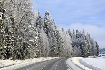 Fototapeta premium Snowy Forest by Empty Winter Road