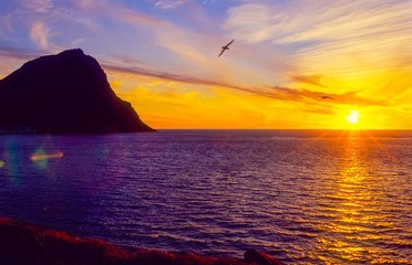 Mitternachtssonne an der Felsküste in den Westfjorden, Möwen, Vestfirðir, Island / Iceland,...