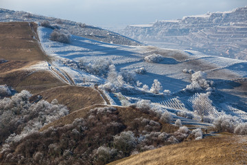 Frosty Frozen Kaiserstuhl Germany