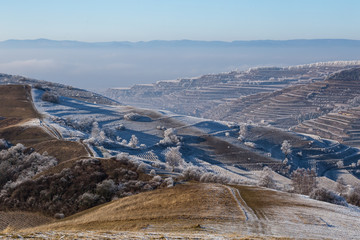 Frosty Frozen Kaiserstuhl Germany