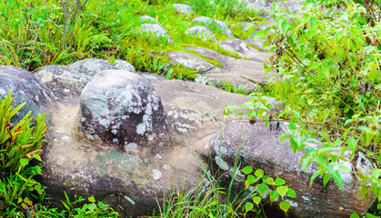Lan Hin Pum (natural phenomenon) at Phu Hin Rong Kla national pa