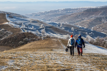 Frosty Frozen Kaiserstuhl Germany
