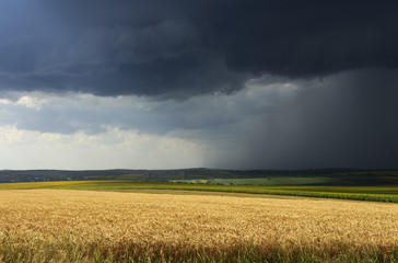 Thunderstorm in the field