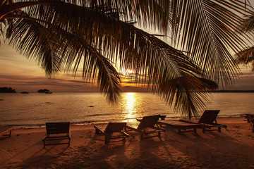 Beautiful sunset at the beach with palm trees and beach chair. H