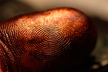 Coppery fingerprint